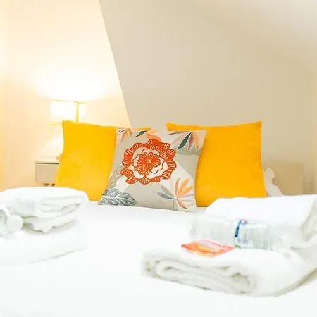 Duplex Confortable En Centre Avec 2 *
