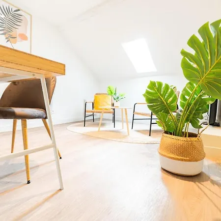 Appartement Duplex Confortable En Centre Avec 2 Châlons-en-Champagne